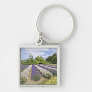 USA, WA, Sequim, Paars Haze Lavender Boerderij Sleutelhanger