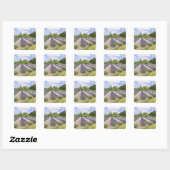 USA, WA, Sequim, Paars Haze Lavender Boerderij Vierkante Sticker (Vel)