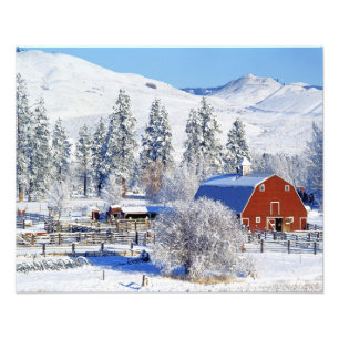 USA, Washington, Methow Valley, Barns in Foto Afdruk