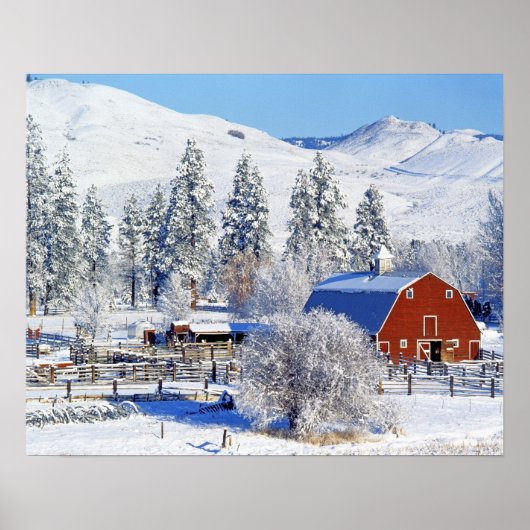 USA, Washington, Methow Valley, Barns in Poster (Voorkant)