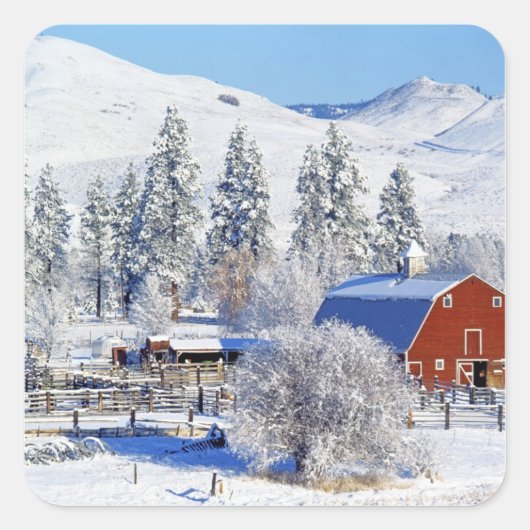USA, Washington, Methow Valley, Barns in Vierkante Sticker (Voorkant)