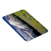 USA, Washington, Mt. Rainier National Park. Magneet (Rechterzijde)