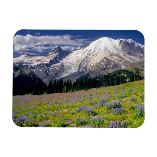 USA, Washington, Mt. Rainier National Park. Magneet (Horizontaal)