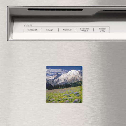 USA, Washington, Mt. Rainier National Park. Magneet (Insitu (Vaatwasser))