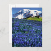USA, Washington, Mt. Rainier National Park. Mt. Briefkaart (Voorkant / Achterkant)