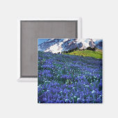 USA, Washington, Mt. Rainier National Park. Mt. Magneet (Voorkant / Achterkant)