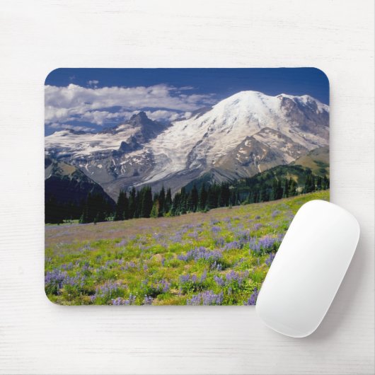 USA, Washington, Mt. Rainier National Park. Muismat (Met muis)