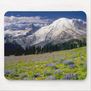 USA, Washington, Mt. Rainier National Park. Muismat