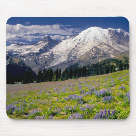USA, Washington, Mt. Rainier National Park. Muismat (Voorkant)