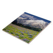 USA, Washington, Mt. Rainier National Park. Tegeltje (Zijkant)