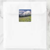 USA, Washington, Mt. Rainier National Park. Vierkante Sticker (Tas)
