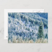 USA, Washington, MT. Spokane State Park, Aspen 2 Briefkaart (Voorkant / Achterkant)