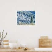 USA, Washington, MT. Spokane State Park, Aspen 2 Poster (Keuken)