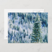 USA, Washington, MT. Spokane State Park, Aspen Briefkaart (Voorkant / Achterkant)