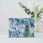 USA, Washington, MT. Spokane State Park, Aspen Briefkaart (Staand voorkant)