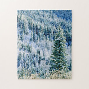 USA, Washington, MT. Spokane State Park, Aspen Legpuzzel