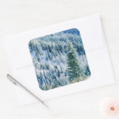 USA, Washington, MT. Spokane State Park, Aspen Vierkante Sticker (Envelop)