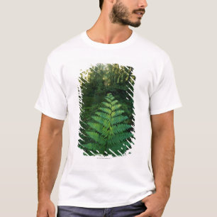 USA, Washington, Olympia National Park, Hoh River T-shirt