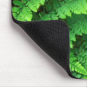 USA, Washington, Olympic National Park, Athyrium Muismat (Hoek)