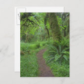 USA, Washington, Olympic National Park Briefkaart (Voorkant / Achterkant)
