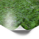 USA, Washington, Olympic National Park Foto Afdruk (Hoek)