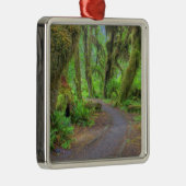 USA, Washington, Olympic National Park, Hoh 2 Metalen Ornament (Rechts)