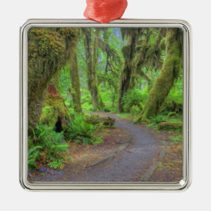 USA, Washington, Olympic National Park, Hoh 2 Metalen Ornament