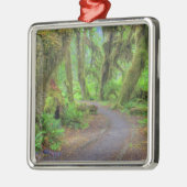 USA, Washington, Olympic National Park, Hoh 2 Metalen Ornament (Links)