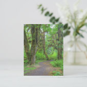 USA, Washington, Olympic National Park, Hoh Briefkaart (Staand voorkant)