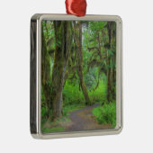 USA, Washington, Olympic National Park, Hoh Metalen Ornament (Rechts)