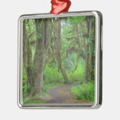 USA, Washington, Olympic National Park, Hoh Metalen Ornament (Links)