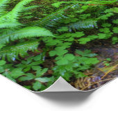 USA, Washington, Olympic National Park, Hoh Poster (Hoek)