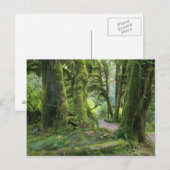 USA, Washington, Olympic National Park, Hoh Rain Briefkaart (Voorkant / Achterkant)