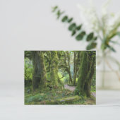 USA, Washington, Olympic National Park, Hoh Rain Briefkaart (Staand voorkant)