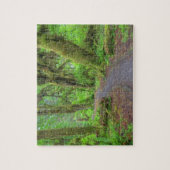 USA, Washington, Olympic National Park, Hoh Rain Legpuzzel (Verticaal)