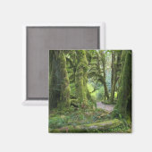 USA, Washington, Olympic National Park, Hoh Rain Magneet (Voorkant / Achterkant)