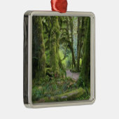 USA, Washington, Olympic National Park, Hoh Rain Metalen Ornament (Rechts)