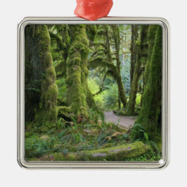 USA, Washington, Olympic National Park, Hoh Rain Metalen Ornament