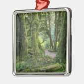 USA, Washington, Olympic National Park, Hoh Rain Metalen Ornament (Links)