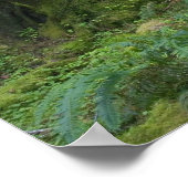 USA, Washington, Olympic National Park, Hoh Rain Poster (Hoek)