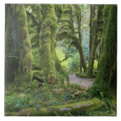 USA, Washington, Olympic National Park, Hoh Rain Tegeltje (Voorkant)