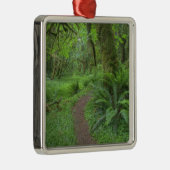 USA, Washington, Olympic National Park Metalen Ornament (Rechts)