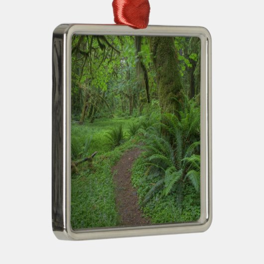 USA, Washington, Olympic National Park Metalen Ornament (Rechts)