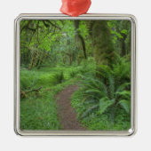 USA, Washington, Olympic National Park Metalen Ornament (Voorkant)