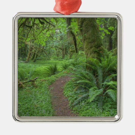 USA, Washington, Olympic National Park Metalen Ornament (Voorkant)