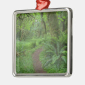 USA, Washington, Olympic National Park Metalen Ornament (Links)