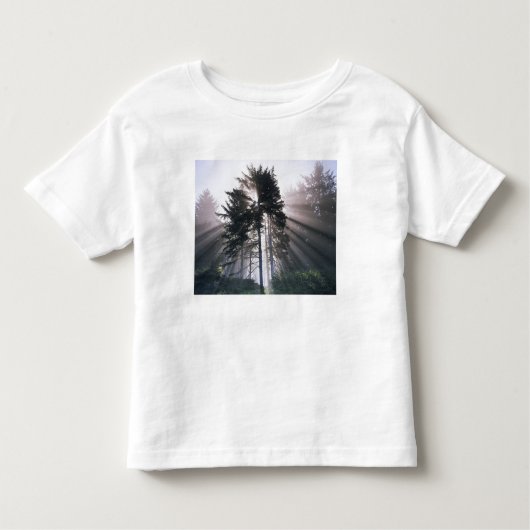USA, Washington, Olympic National Park, Morning Kinder Shirts (Voorkant)