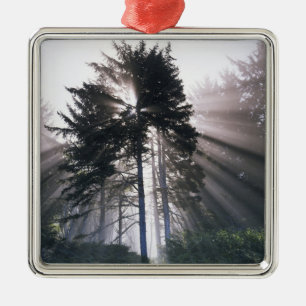 USA, Washington, Olympic National Park, Morning Metalen Ornament