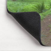 USA, Washington, Olympic National Park Muismat (Hoek)