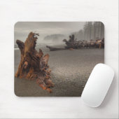 USA, Washington, Olympic National Park, Rialto 2 Muismat (Met muis)